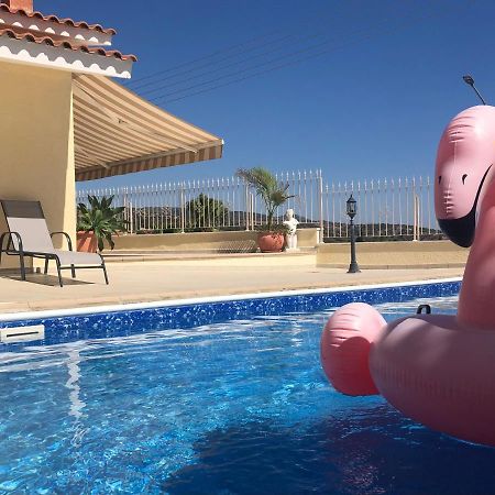 Peyia Palm Villa بافوس المظهر الخارجي الصورة