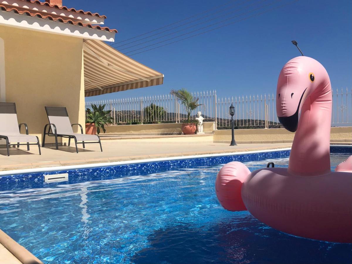 Peyia Palm Villa بافوس المظهر الخارجي الصورة